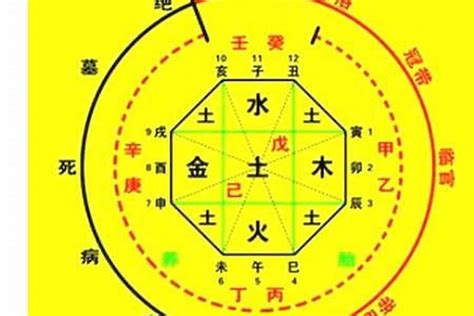 測八字五行|生辰八字算命、五行喜用神查詢（免費測算）